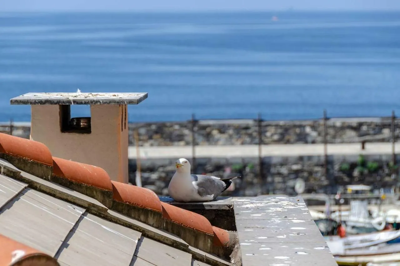 Joivy Charm 1 Bed Apt Overlooking Port Of Camogli Apartment