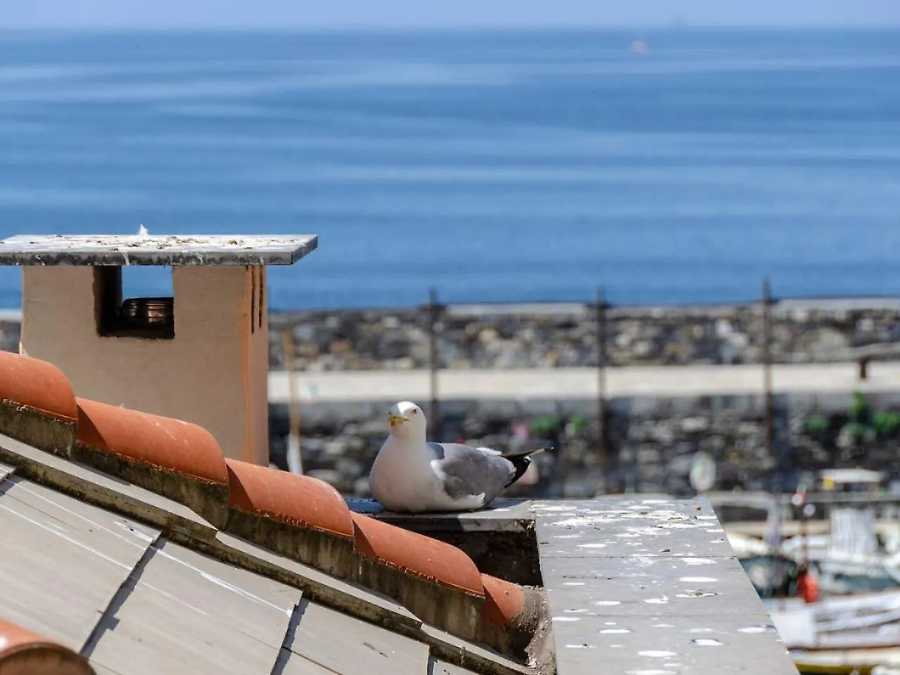 Joivy Charm 1 Bed Apt Overlooking Port Of Camogli Apartment